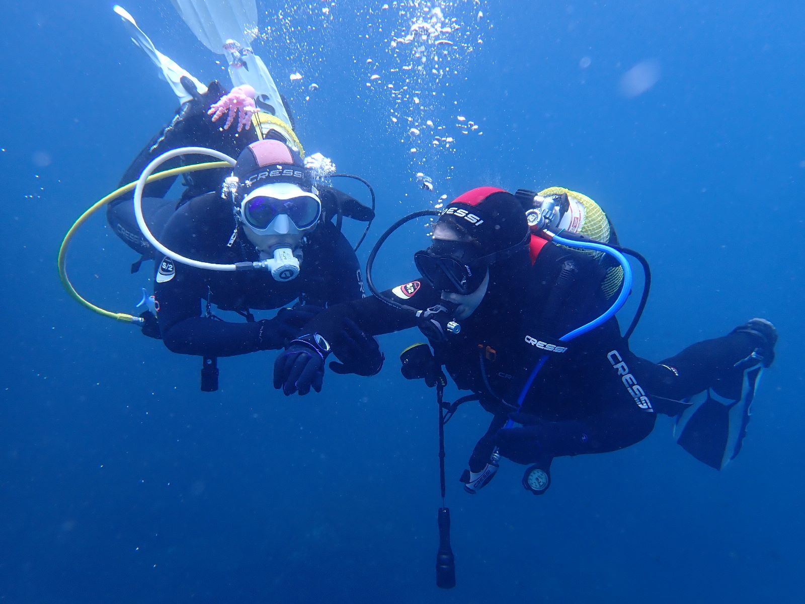 buceo